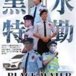 竹北保全公司推薦品牌｜安全首選｜特勤保安｜皇家遊騎兵保全&亞馬遜國際物業