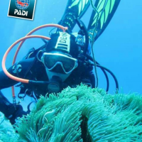 游龍潛水 Yulong Dive Center