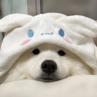 辰瑤
