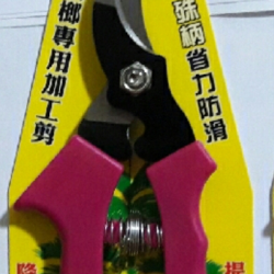 個人圖片