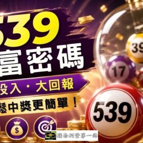 ​地下539怎麼玩？看簽牌賠率學投注！教你怎麼買比較容易中