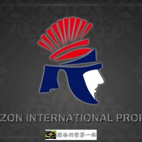 安全首選｜特勤保安｜黑水特勤保全&amp;克莉絲汀國際物業|桃園南崁保全公司推薦品牌