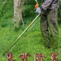 台中修剪樹木枝,台中樹木修剪公司