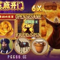 ?️洞窟裡的悄聲細語：芝麻開門的那一夜?️