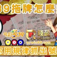 539拖牌怎麼抓？別再憑感覺碰運氣，教你用規律抓出號碼！ 